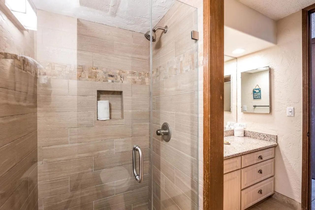 Papakea L207 Ocean Front 1 Bedroom Condo Kahana United States
